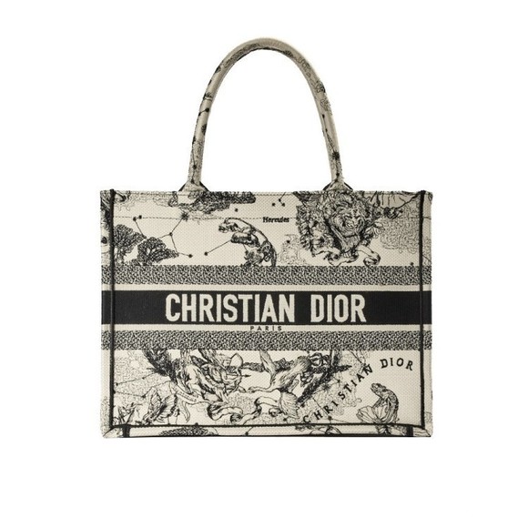 Dior Medium Zodiac Book Tote Latte - vintage - Picture 1 of 1